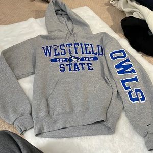Champion Westfield State Hoodie